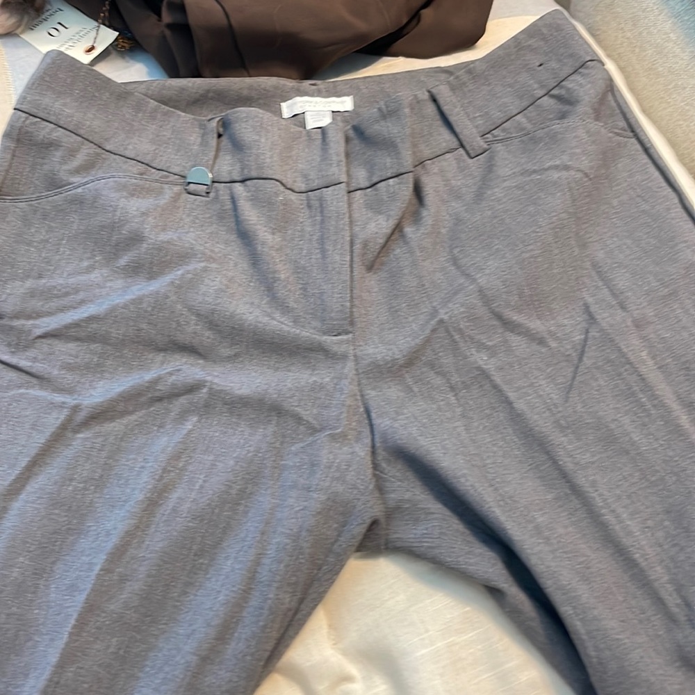 New York & co pants